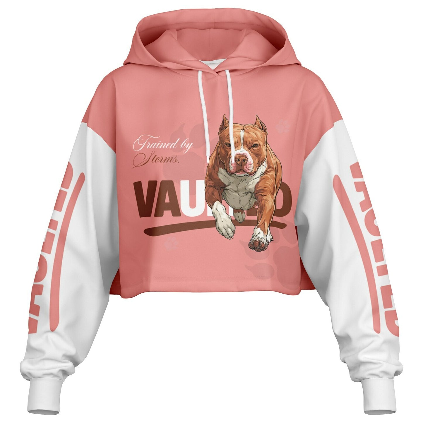 Women's Pink Pitbull Latte Dance Hoodie - AOP